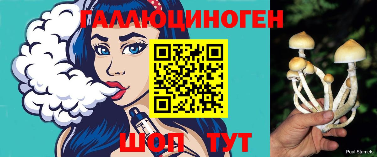 как найти наркотики  Вход с VPN  Волгоград  Псилоцибиновые грибы мицелий 