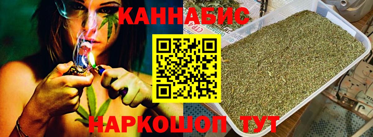 Канабис сатива Волгоград